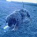 Bernie Bates Jr. - Facebook