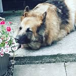 Bernie Whelan Bates - @berniewhelanbates - Instagram