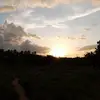Bernie_ - @bernie_benjamin - TikTok
