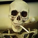 Bernie Bones Benjamin - @boney_bernie - Instagram