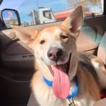 Bernie Berger - @bernie_buford_berger - Instagram
