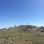 Bernie - @bernie.bishop - Instagram