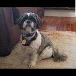 Bernie Bishop - @bernieb1107 - Instagram