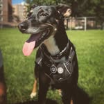 Bernie Boyd Brudent - @mrbernieboydbrudent - Instagram