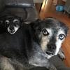 Blu & Ernie Brady - @blu_erniebrady - TikTok