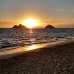 Bernie Burns - @burnsbm8 - Instagram