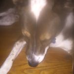 Bernie Burns - @_bernie_burns_ - Instagram