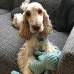 Bernie Burns 🐾 - @bernieburns14 - Instagram