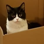 Bernie Clark - @bernie.wilkinsonclark - Instagram