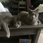 Bernie Clark - @witchwoman66 - Instagram