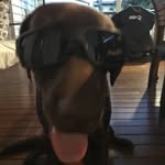@bernie.concannon - Instagram