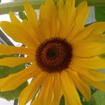 Bernie Connelly - @bernieconnelly9 - Instagram