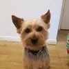 BernieConroy - @bernieconroy - TikTok