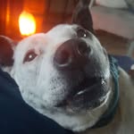 Bernie Corrigan - @bernie.corrigan.7 - Instagram