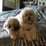 @berniecrew_13 - Instagram