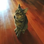 BernieDanders - @berniedanders - Instagram