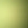 berniedarron1 - @berniedarron1 - TikTok