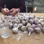 Bernie Dick - @cpgarlic - Instagram