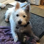 Bernie dickenson - @berniedickenson - Instagram