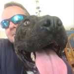 Bernie Dolan - @dolan.bernie - Instagram