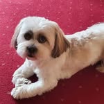 Bernie Dolan - @1berniedolan - Instagram