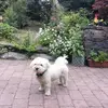 berniedolan4 - @berniedolan4 - TikTok