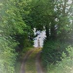 Bernadette Evans Cullen - @bernie_evans_ - Instagram