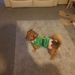 Bernie Evans - @bernie.evans.357 - Instagram