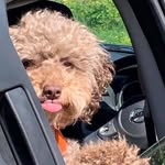 Bernie Grady - @bernie2627dolly1807 - Instagram