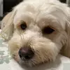 Bernice Grant - @bernice.grant6 - TikTok
