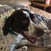 Bernie Grant - Facebook
