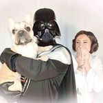 Bernadette Hannay - @berniehannay - Instagram
