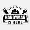 Bernie Handyman - @bernie.handyman - TikTok