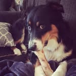 Bernie Lange - @bernielange16 - Instagram