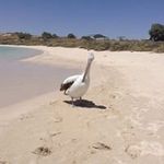 Bernie Lyons - @bernie.lyons59 - Instagram