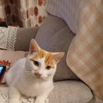 Bernie Lyons - @bernie.lyons.777 - Instagram