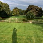 Bernie Lyons - @lyonsbernie - Instagram