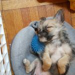 Bernice Anders Maxwell - @bernice_of_brooklyn - Instagram