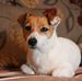 Bernie Maxwell - Facebook
