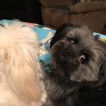 Bernie Meyer - @b.meyer.07 - Instagram