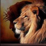 Bernie Meyer - @bmeyer839802 - Instagram