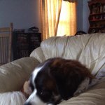 Bernie Meyer - @bern_5054 - Instagram