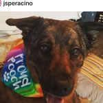Bernie Meyers - @meyers_bernie - Instagram