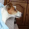 berniemeyer0 - @berniemeyer0 - TikTok