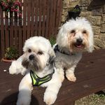 Bernie Mitchell - @berniemitchell1 - Instagram