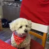 Bernie Monaghan - @bernie.monaghan4 - TikTok