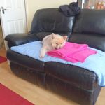 Bernie Moore - @bernie.moore.92 - Instagram