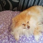Bernie Moore - @bernie.moore.3133 - Instagram