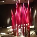 Bernie Morris - @morris.bernie - Instagram