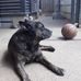 Bernie Morris - Facebook